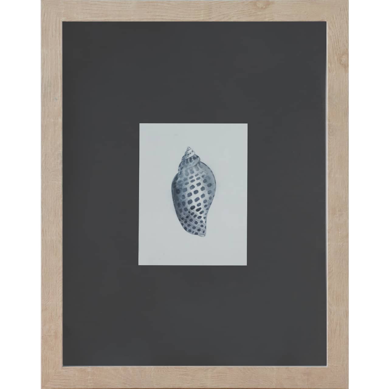 11" x 14" Blue Spotted Shell Art Wall Décor by Ashland®